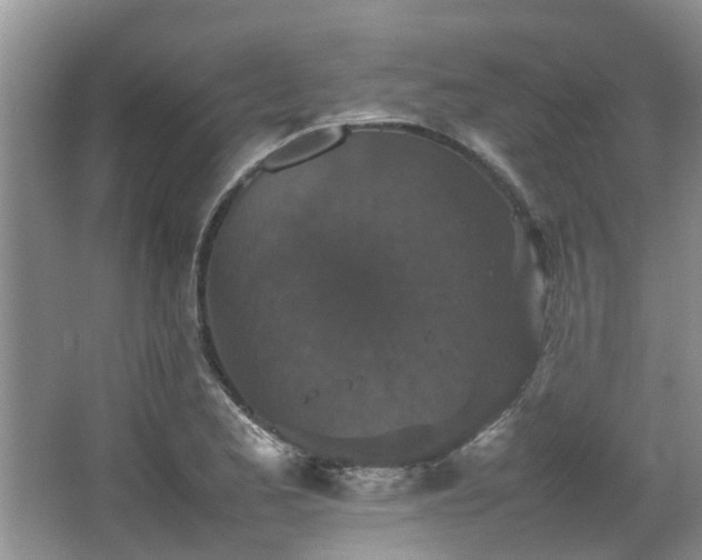 X0000067361173200603311210