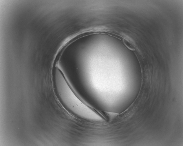 X0000067361176200603311210