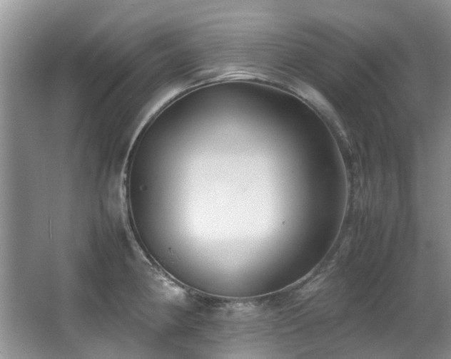 X0000067361190200603311210