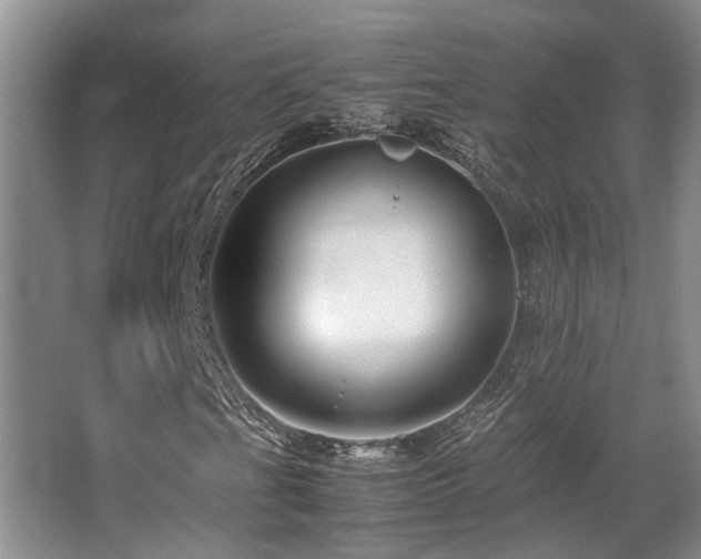 X0000067361201200603311209