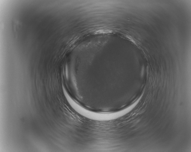 X0000067361202200603311209