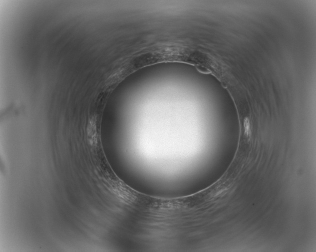 X0000067361203200603311209