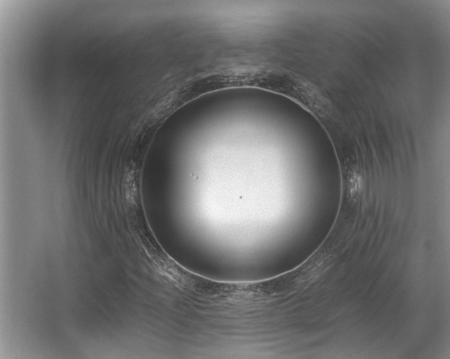 X0000067361204200603311209