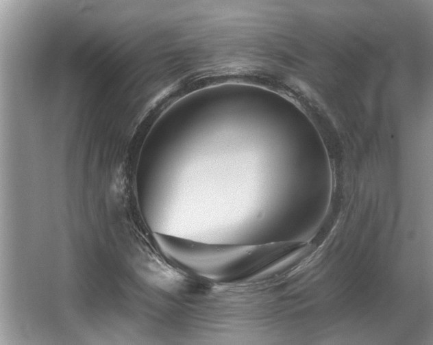 X0000067361210200603311209