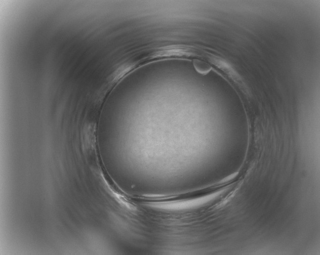 X0000067361233200603311210