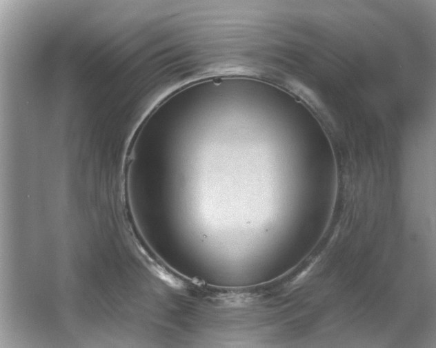 X0000067361236200603311210
