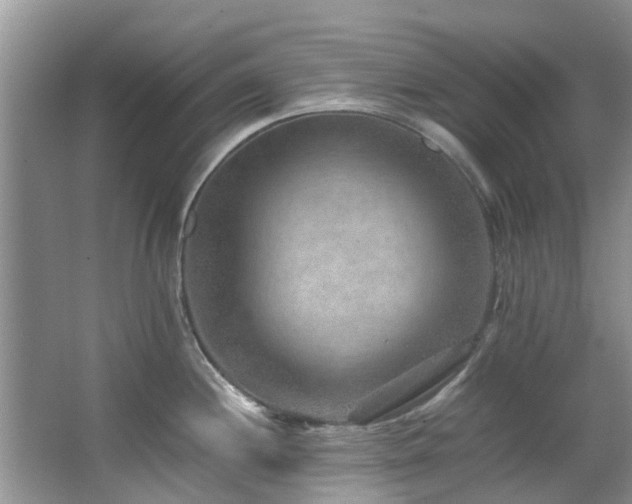X0000067361244200603311210