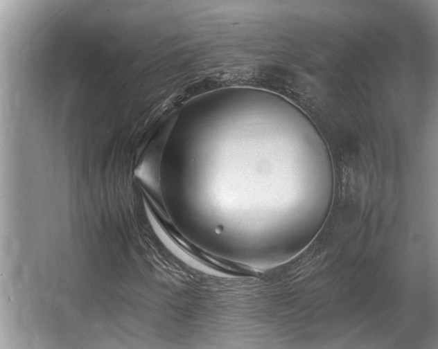 X0000067361250200603311209
