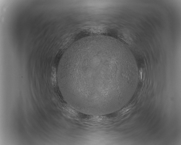 X0000067361251200603311209