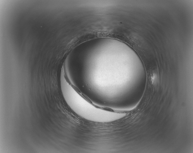 X0000067361252200603311209