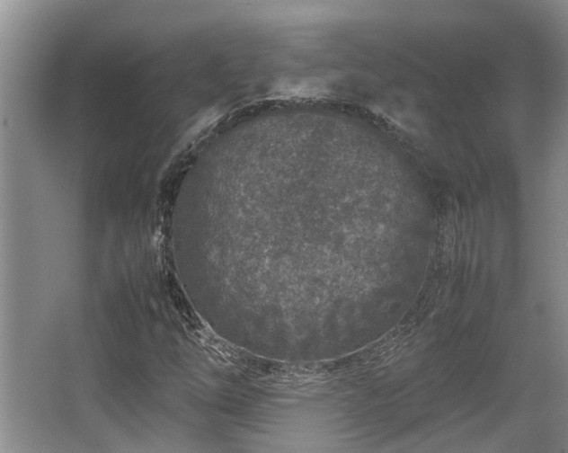 X0000067361254200603311209