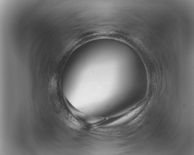 X0000067361257200603311209