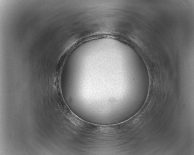 X0000067361258200603311209