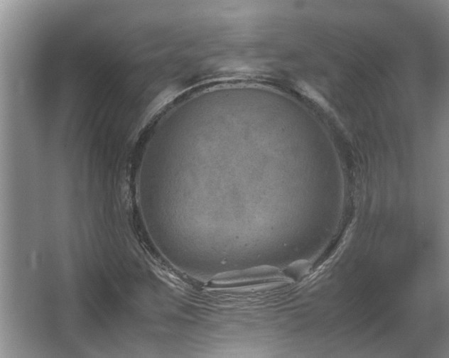 X0000067361259200603311209