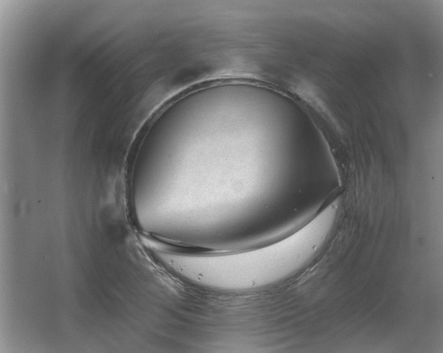 X0000067361268200603311209