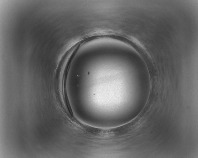 X0000067361269200603311209
