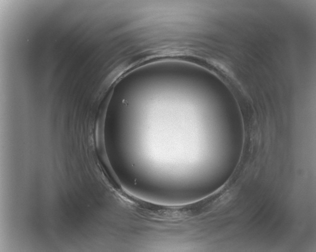 X0000067361273200603311209
