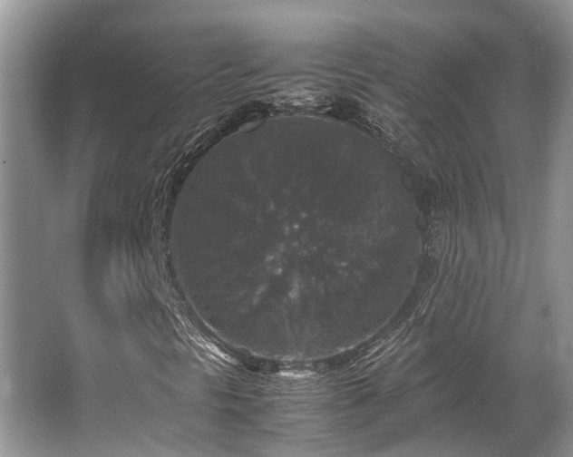 X0000067361297200603311207