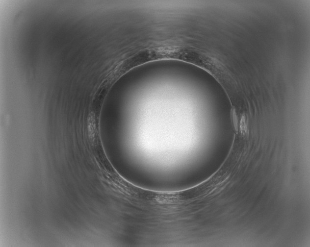 X0000067361299200603311208