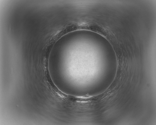 X0000067361301200603311208