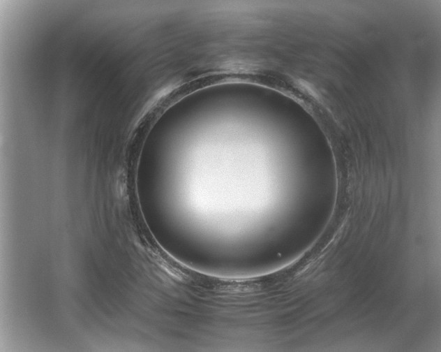 X0000067361307200603311208