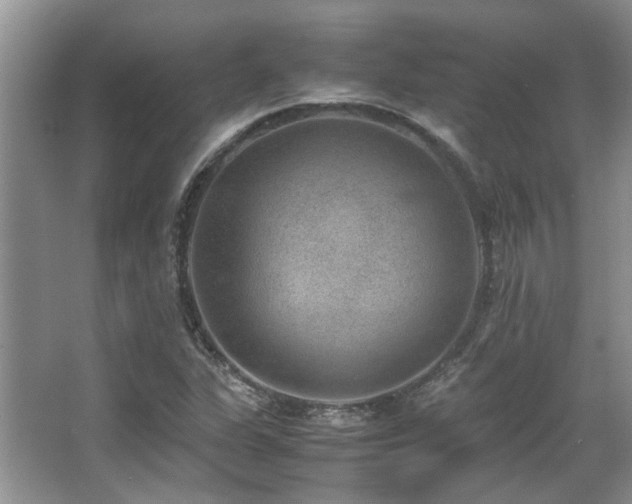 X0000067361311200603311208