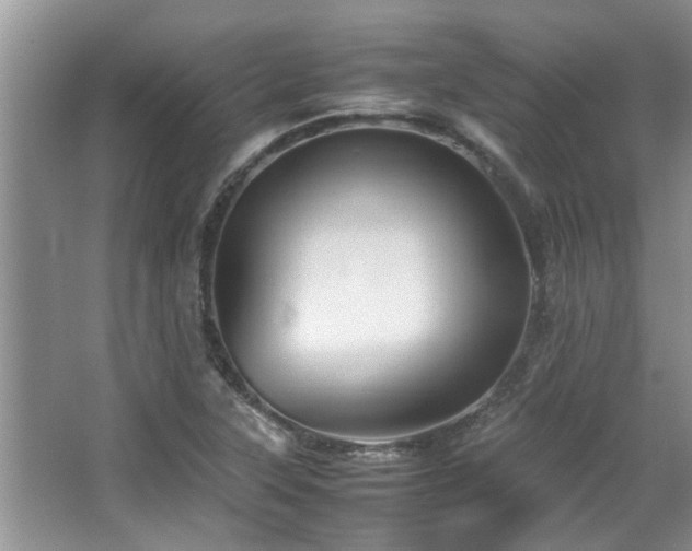 X0000067361315200603311208