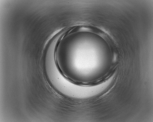X0000067361317200603311208