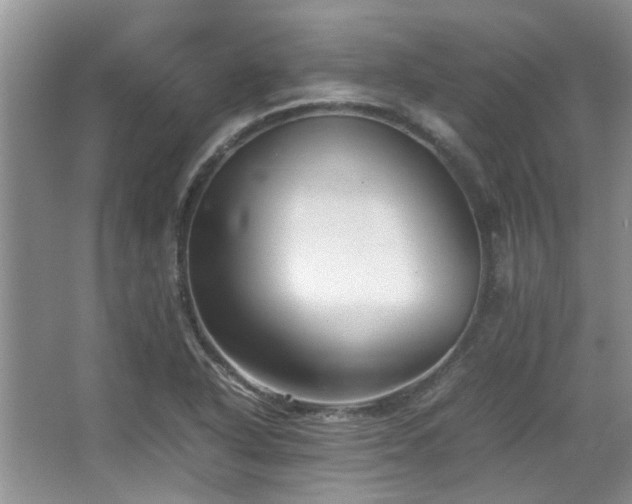 X0000067361318200603311208