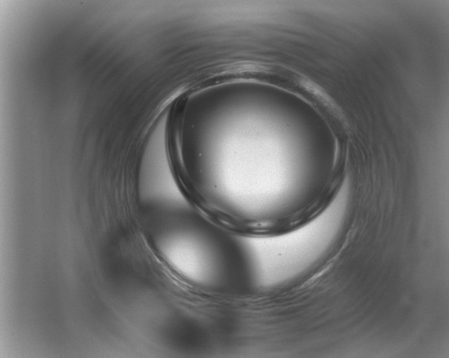 X0000067361321200603311208