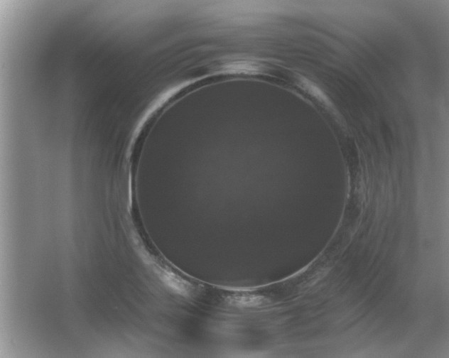 X0000067361323200603311208