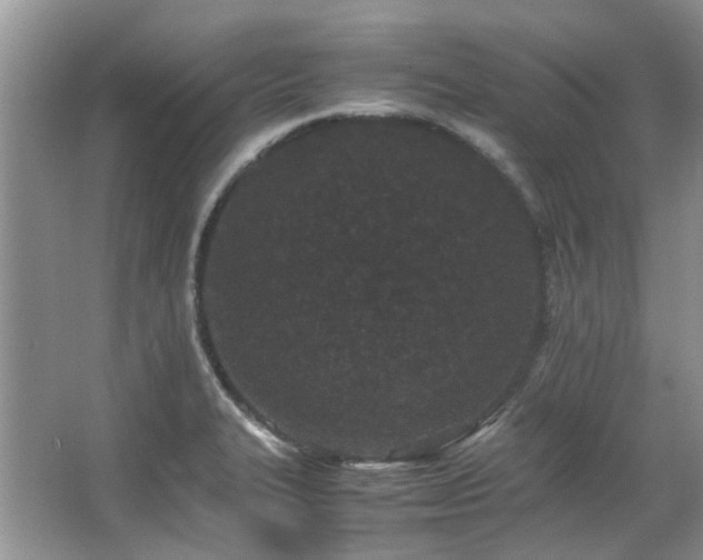 X0000067361327200603311208