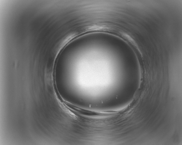 X0000067361330200603311208