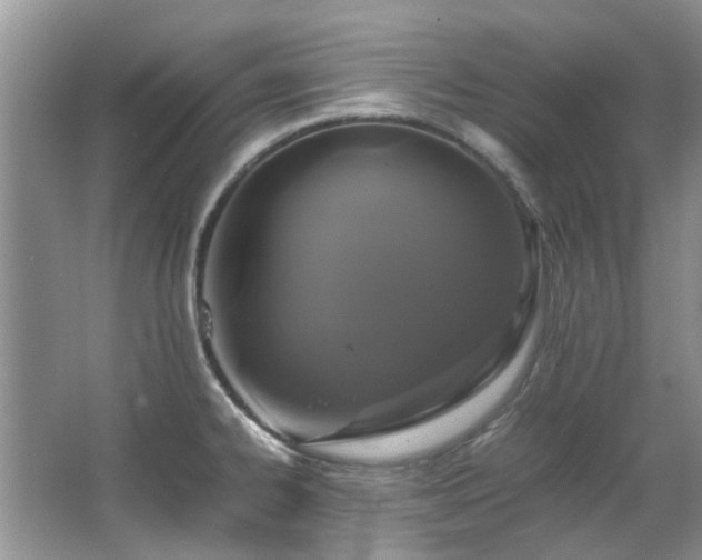 X0000067361334200603311208