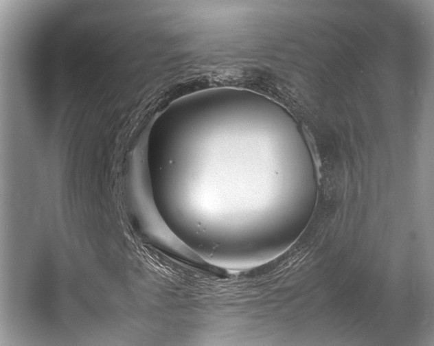 X0000067361345200603311207