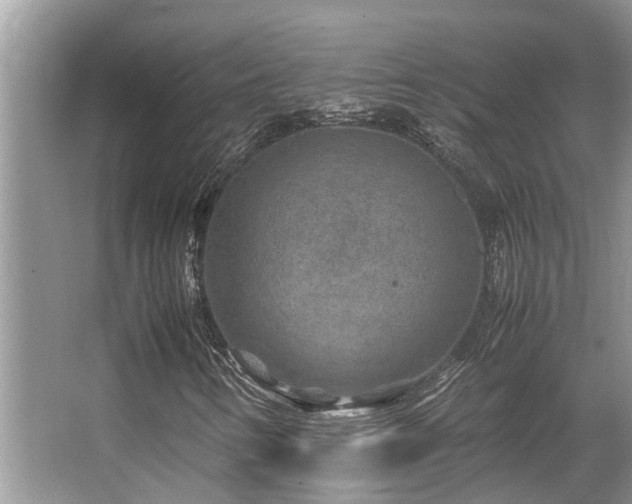 X0000067361346200603311207