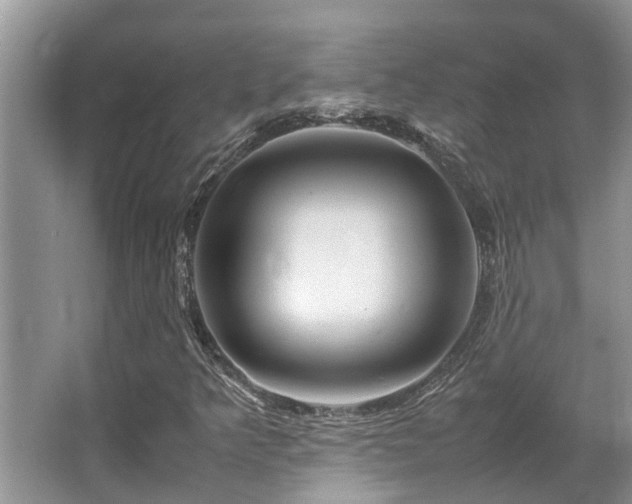 X0000067361349200603311207