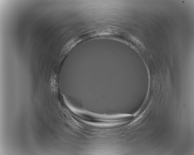 X0000067361353200603311207