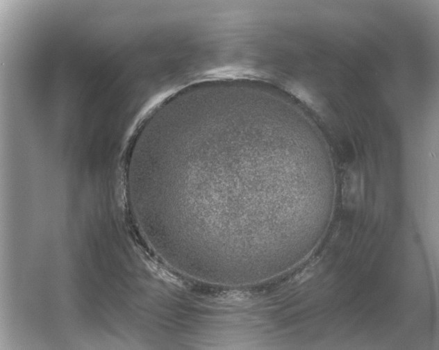 X0000067361358200603311207