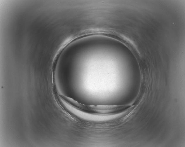 X0000067361365200603311207