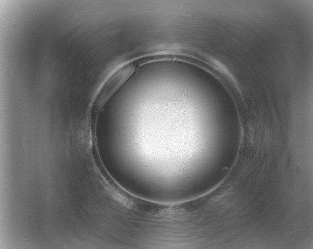 X0000067361368200603311207