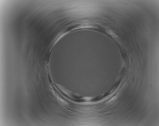 X0000067361369200603311207