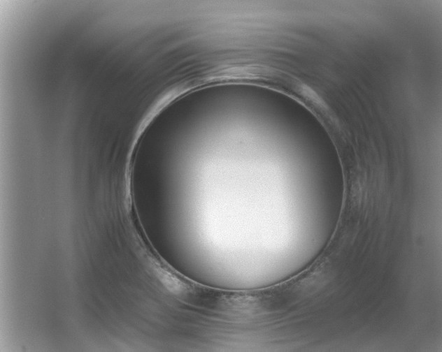 X0000067361370200603311207
