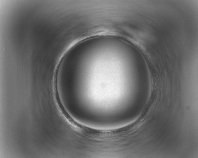 X0000067361375200603311207