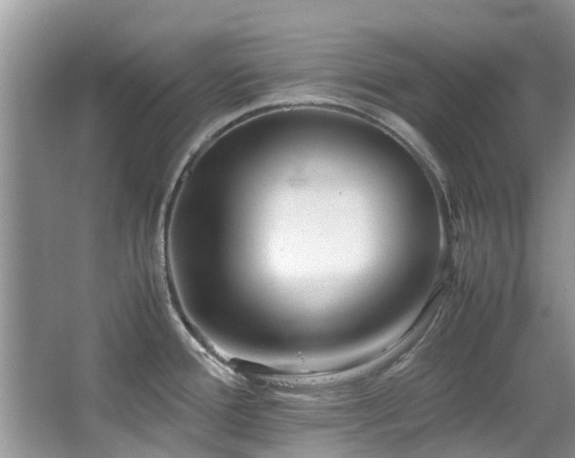 X0000067361388200603311207