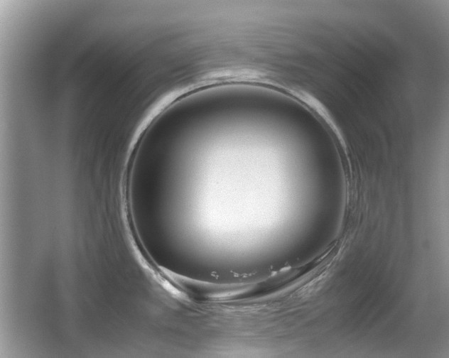 X0000067361389200603311207