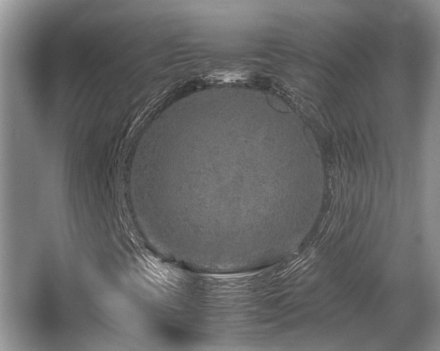 X0000067361393200603311206