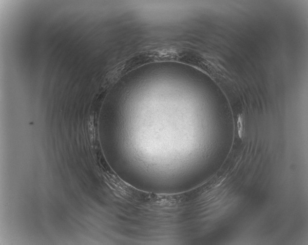 X0000067361395200603311206