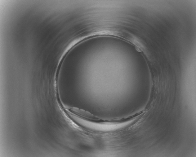 X0000067361428200603311206