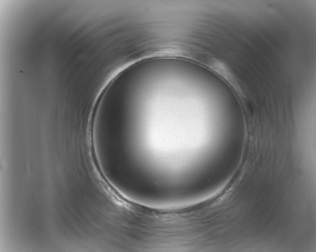 X0000067361436200603311207